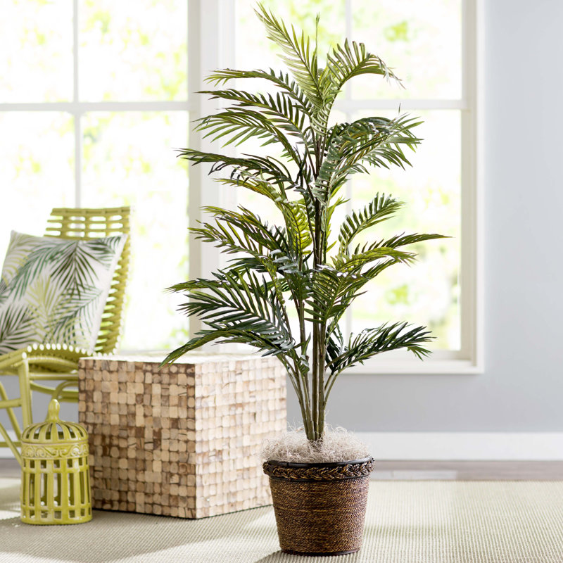 Beachcrest Home 47" Artificial Palm Tree in Basket & Reviews Wayfair